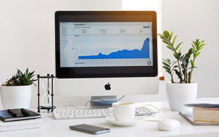 《露谷指南》：终极新手入门攻略